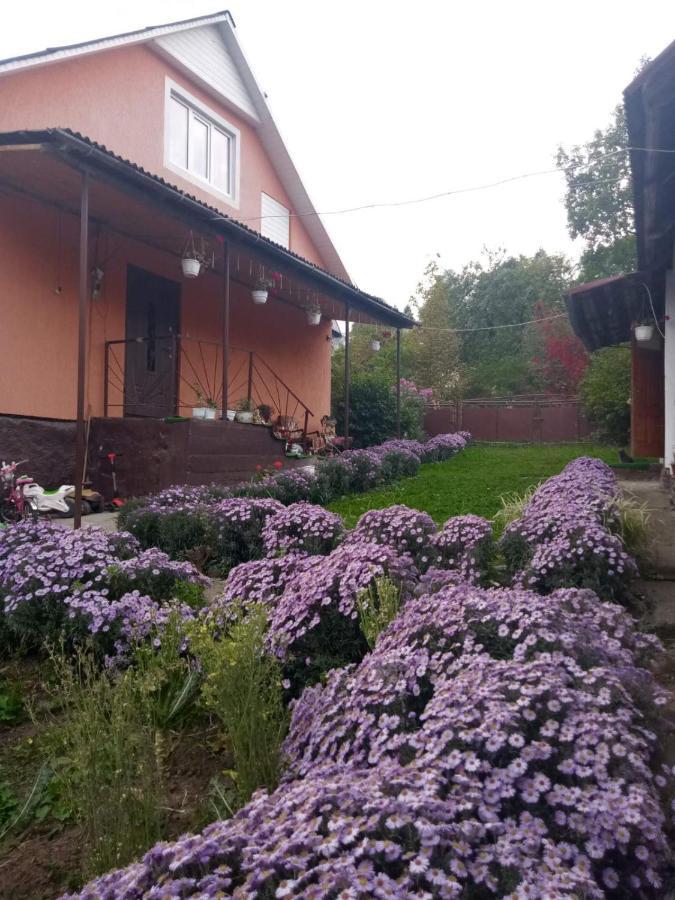 Gostynnyi Dvir U Marichky Hotel Mezőhát Kültér fotó